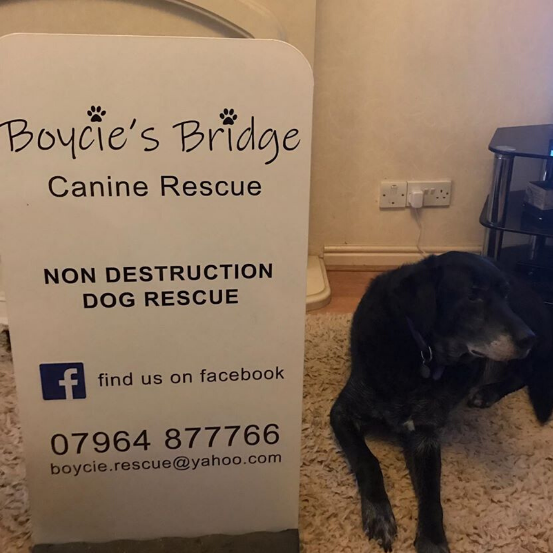 a-board for Boycie's Bridge